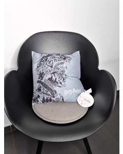 Coussin Harry Potter
