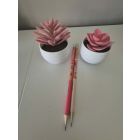 Crayon Capybara Rose