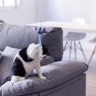 Jouet pour chat Stitch